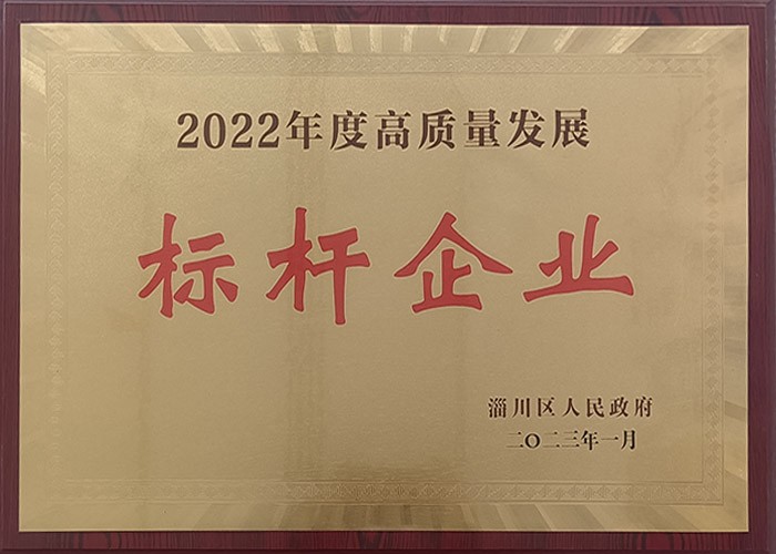 公司荣誉